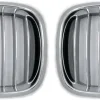 Grillar/Njurar Krom BMW 5-Serien E39